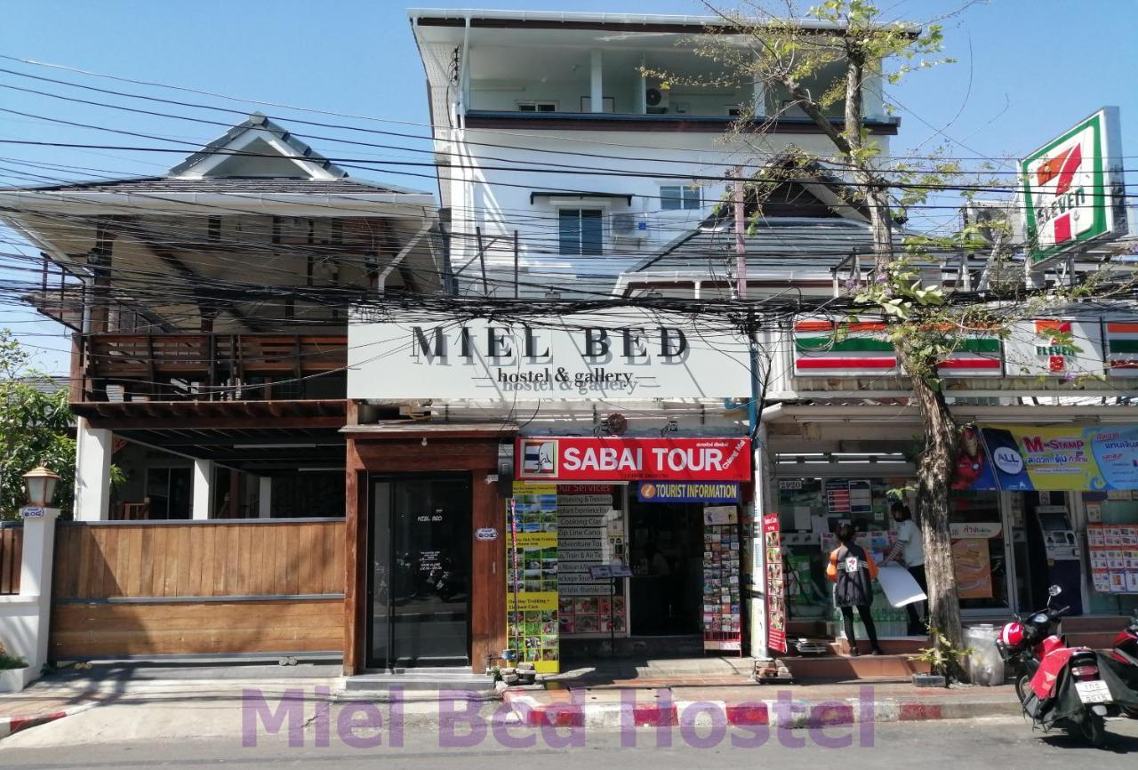 Miel Bed Hostel & Gallery Чіангмай Екстер'єр фото